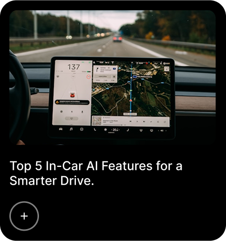Voice Assistant Interface